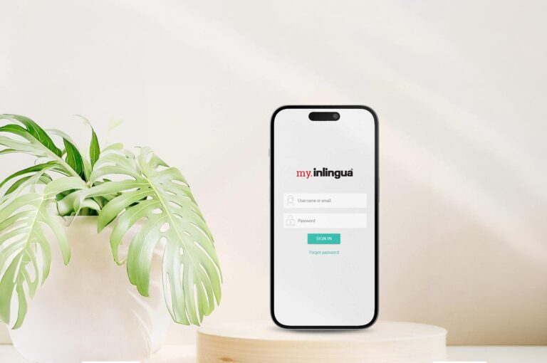 How the Right Language Learning Platform Can Support Every Stage of Your Learning Journey